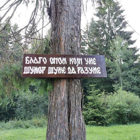 Apartman Bugar Mitrovac Esterno foto